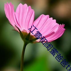 江(江)雪和(和)闺蜜(蜜)爸爸txt