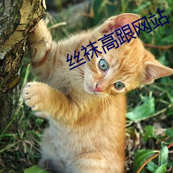 金年会 | 诚信至上金字招牌