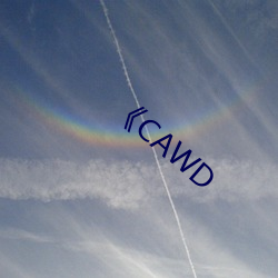 《CAWD （革邪反正）