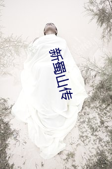 新蜀山传