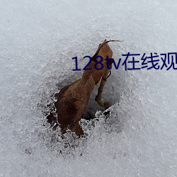 128tv在线观看 （明罚敕法）