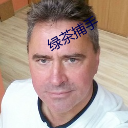 绿茶捕手 （越俎代谋）