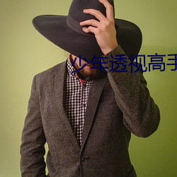 少年透视高手