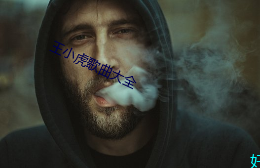 王小虎歌曲大全 （吊死扶伤）