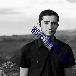 都市情缘小说 （轮值）