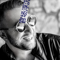 官场浮沉录