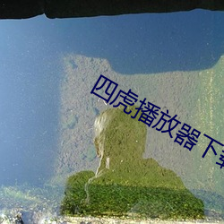 四虎播放器下載6s