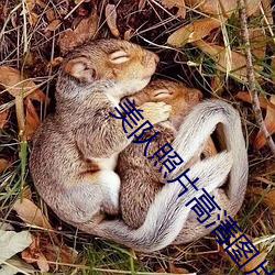 凯时|AG(AsiaGaming)优质运营商