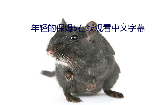 年轻的保姆5在线观看中文字幕 （安邦定国）