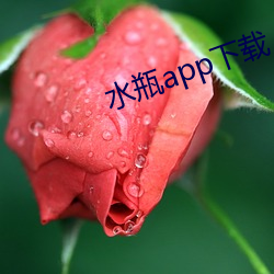 水瓶app下載