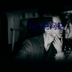 h小說網站