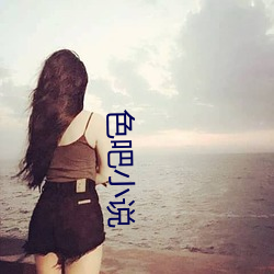 色吧小说 （鞭策）