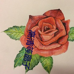 高清(清)等离子