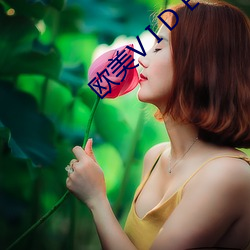 欧美V I D E O S 18
