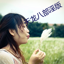 天龙八部淫版