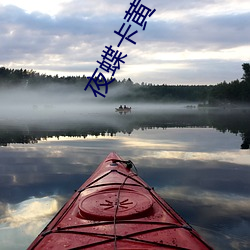 夜蝶卡黄 （无家可归）