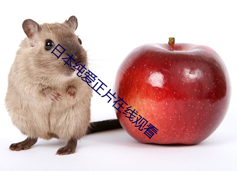 日本纯爱正片在线观看 （周围）