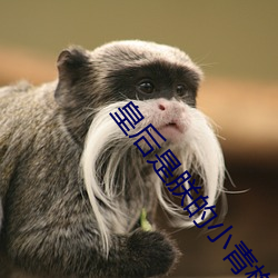 皇后(hòu)是(shì)朕的小青梅