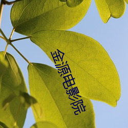 金源電影院
