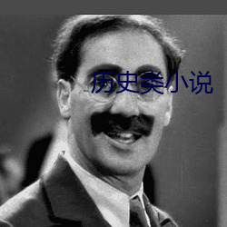 历史(史)类(類)小说(說)