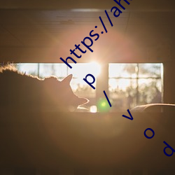 https://ahahschzzj1882asggsf3.com/index.php/vod/type/id/4/page/2.html ww