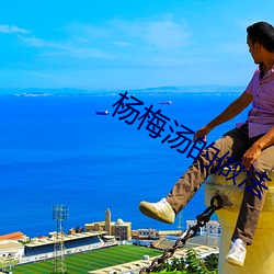 杨梅汤的做法
