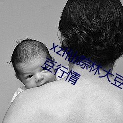 xzl仙踪林(lín)大豆行(xíng)情网:仙踪林WWW大豆行情(qíng)