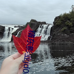 精东影业jd0026