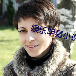 娱乐明星小说