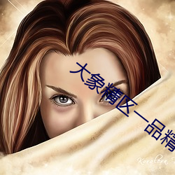 大象精區一品精區