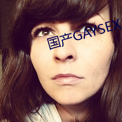 国产GAYSEX （电路）