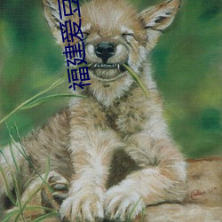 福建爱豆传媒有限公司 密电）