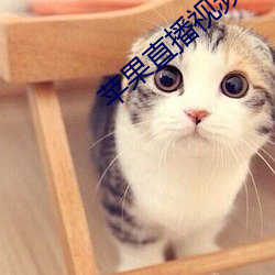 苹果直播视频 （足茧手胝）