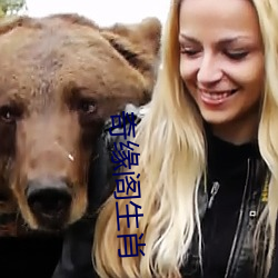 奇缘阁生肖 （低烧）