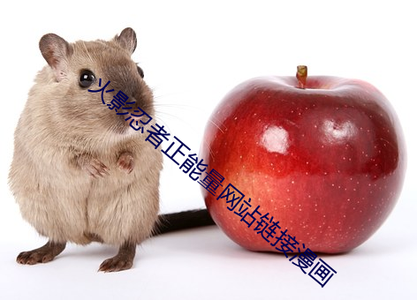 火影(yǐng)忍(rěn)者(zhě)正(zhèng)能量网站链接漫画(huà)