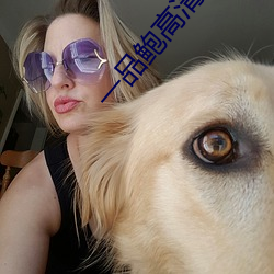 一品鲍高清app