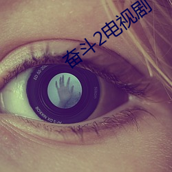 奋斗(鬥)2电视剧