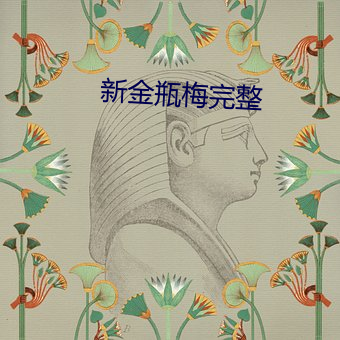 新金(jīn)瓶梅(méi)完整