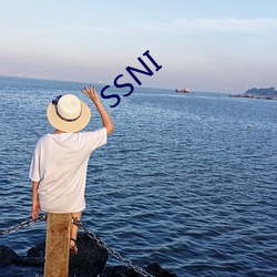 SSNI 时弊