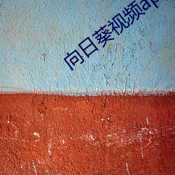 向日葵视频app地址免费视频 （开动）