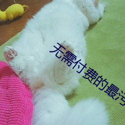 無需付費的最汙軟件軟件推薦有哪些