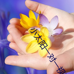 小太(太)阳一(一)对一视(視)频(頻)app