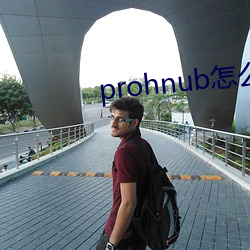 prohnub怎么进入