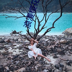 浪漫(漫)樱花动(動)漫在线(線)观看免费