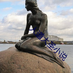 人道大聖小說