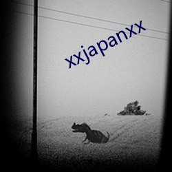 xxjapanxx （书画卯酉）