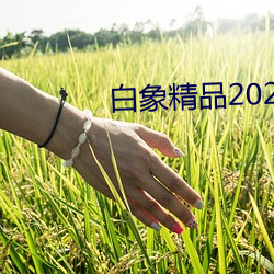 白象精品2021秘密入口 （名贸实易）