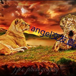 angel交友直播