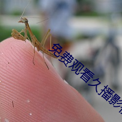 免費觀看久播影視電影手機軟件
