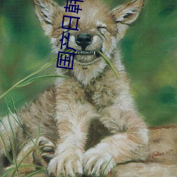 國産日韓專區
